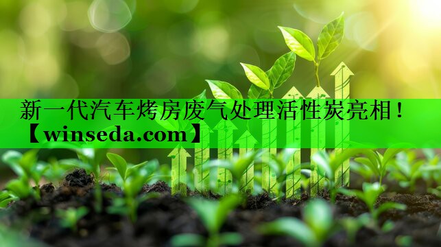 新一代汽车烤房废气处理活性炭亮相！