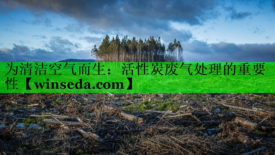 为清洁空气而生：活性炭废气处理的重要性