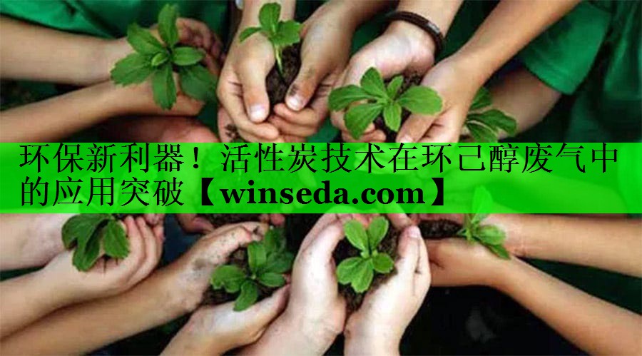 环保新利器！活性炭技术在环己醇废气中的应用突破