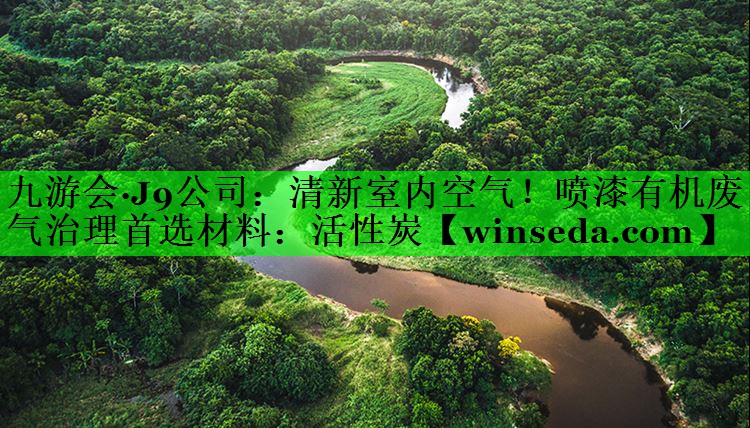 九游会·J9公司：清新室内空气！喷漆有机废气治理首选材料：活性炭