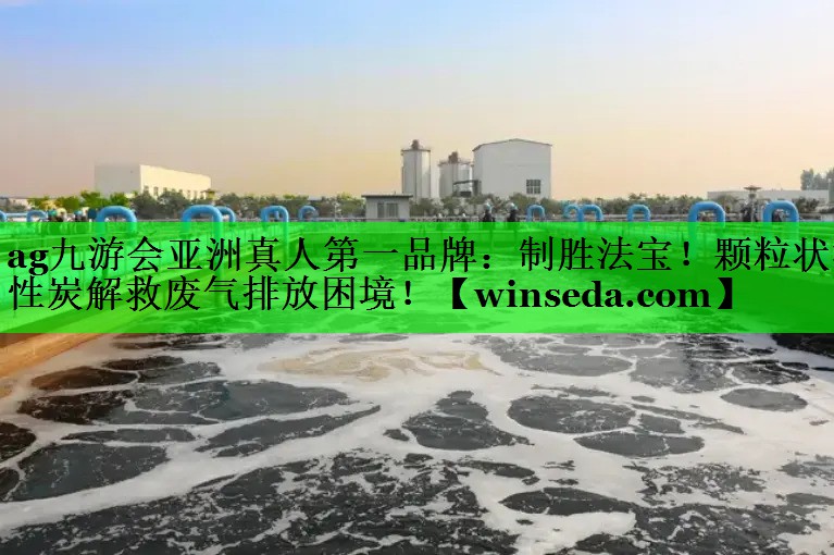 ag九游会亚洲真人第一品牌：制胜法宝！颗粒状活性炭解救废气排放困境！