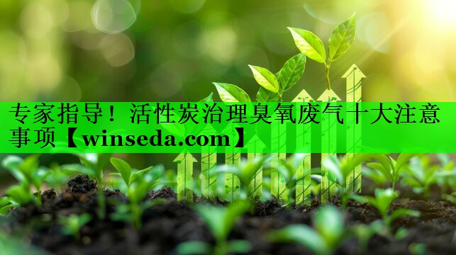 专家指导！活性炭治理臭氧废气十大注意事项