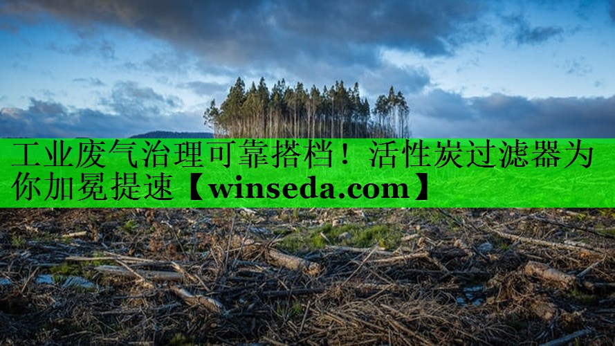 工业废气治理可靠搭档！活性炭过滤器为你加冕提速