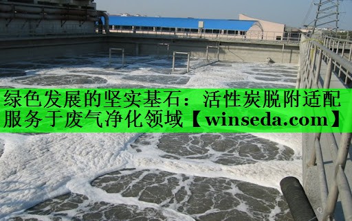 绿色发展的坚实基石：活性炭脱附适配服务于废气净化领域