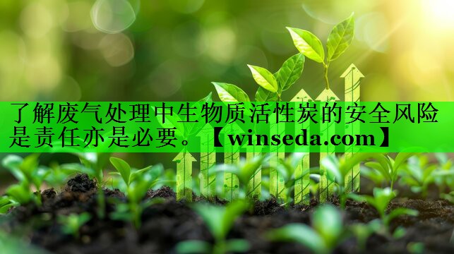 了解废气处理中生物质活性炭的安全风险是责任亦是必要。