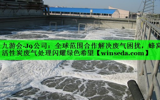 全球范围合作解决废气困扰，蜂窝活性炭废气处理闪耀绿色希望