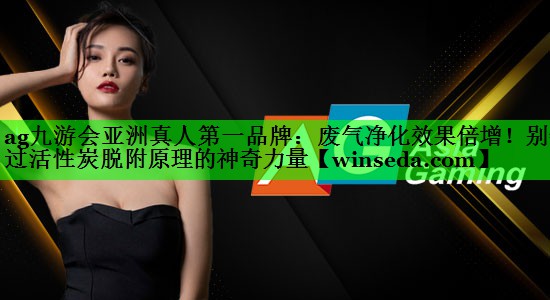 废气净化效果倍增！别错过活性炭脱附原理的神奇力量
