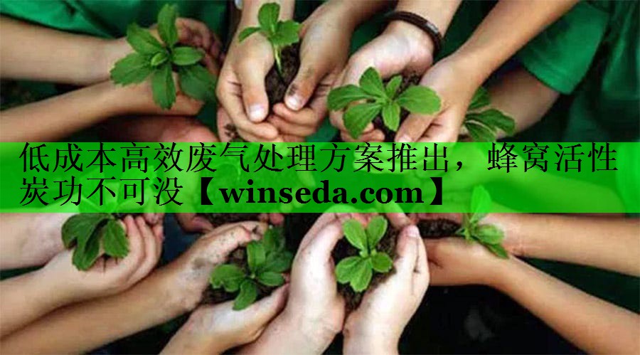 低成本高效废气处理方案推出，蜂窝活性炭功不可没