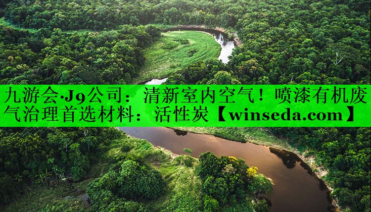 清新室内空气！喷漆有机废气治理首选材料：活性炭