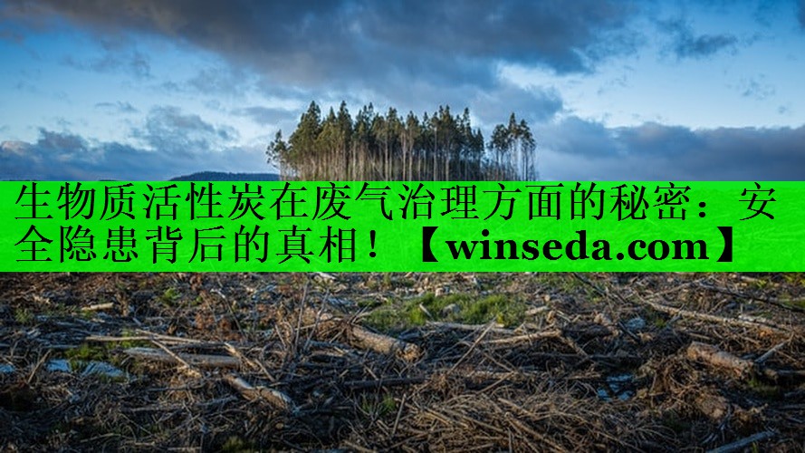 生物质活性炭在废气治理方面的秘密：安全隐患背后的真相！