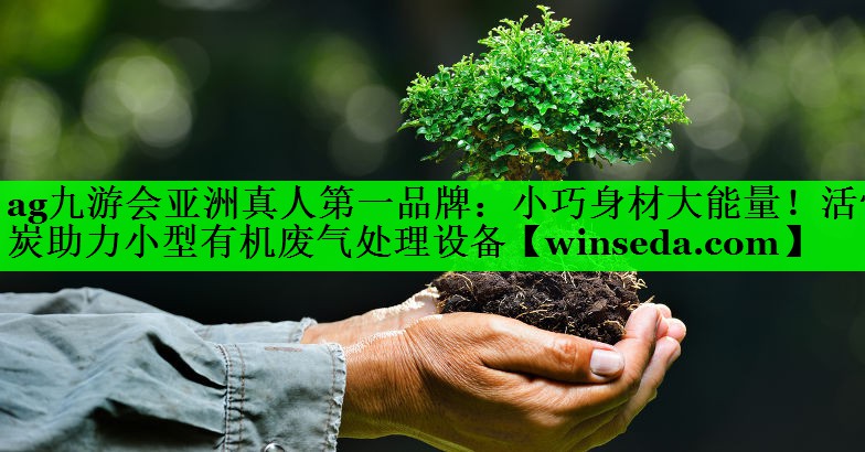 小巧身材大能量！活性炭助力小型有机废气处理设备