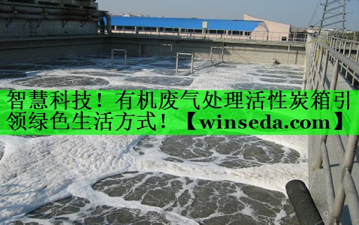智慧科技！有机废气处理活性炭箱引领绿色生活方式！