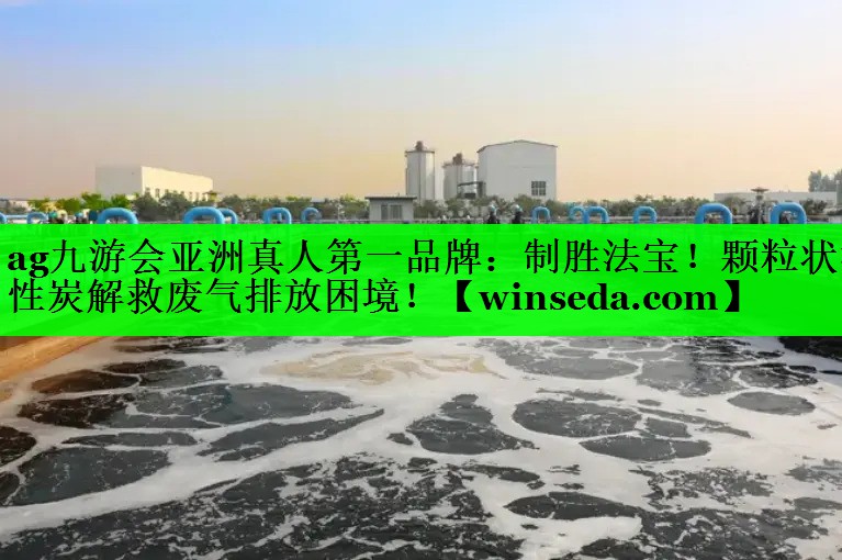 制胜法宝！颗粒状活性炭解救废气排放困境！