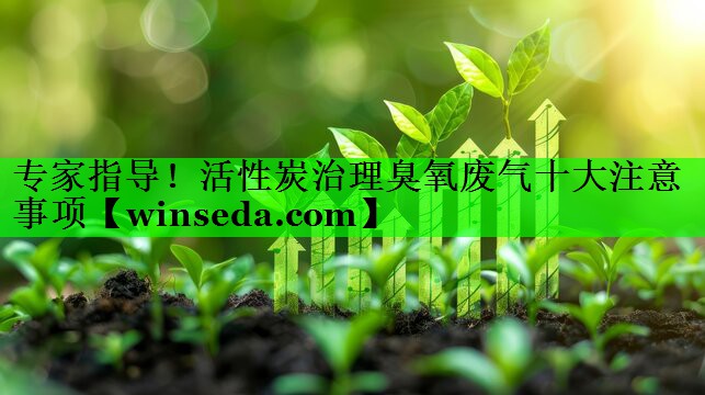 专家指导！活性炭治理臭氧废气十大注意事项