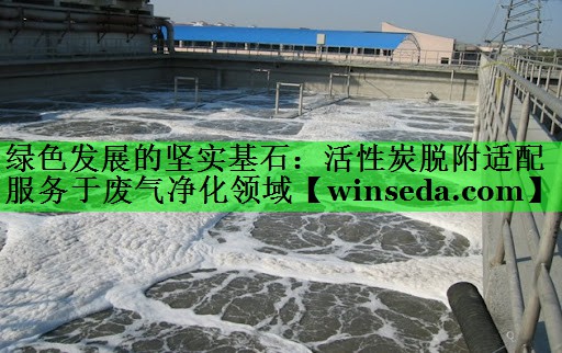 绿色发展的坚实基石：活性炭脱附适配服务于废气净化领域