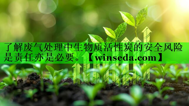 了解废气处理中生物质活性炭的安全风险是责任亦是必要。