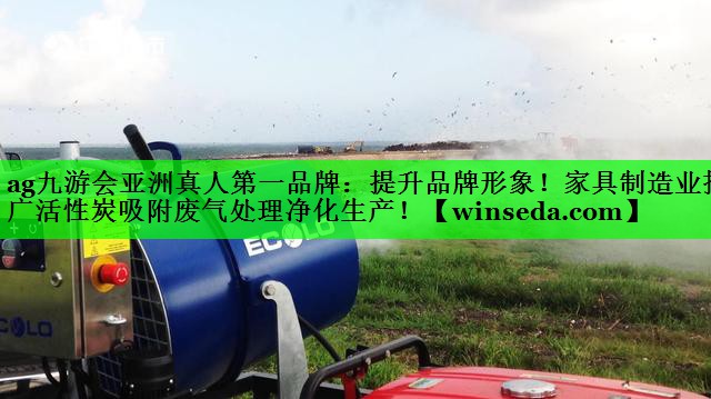 提升品牌形象！家具制造业推广活性炭吸附废气处理净化生产！