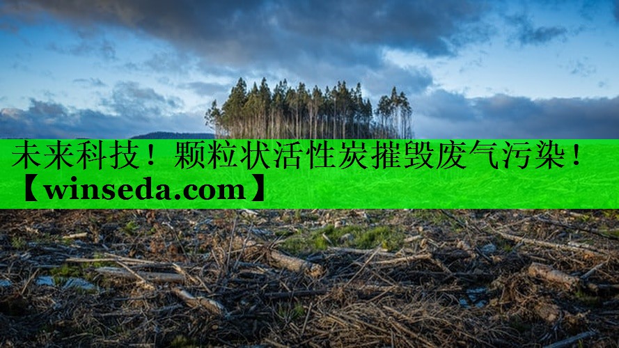 未来科技！颗粒状活性炭摧毁废气污染！