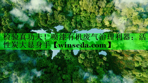 检验真功夫！喷漆有机废气治理利器：活性炭大显身手