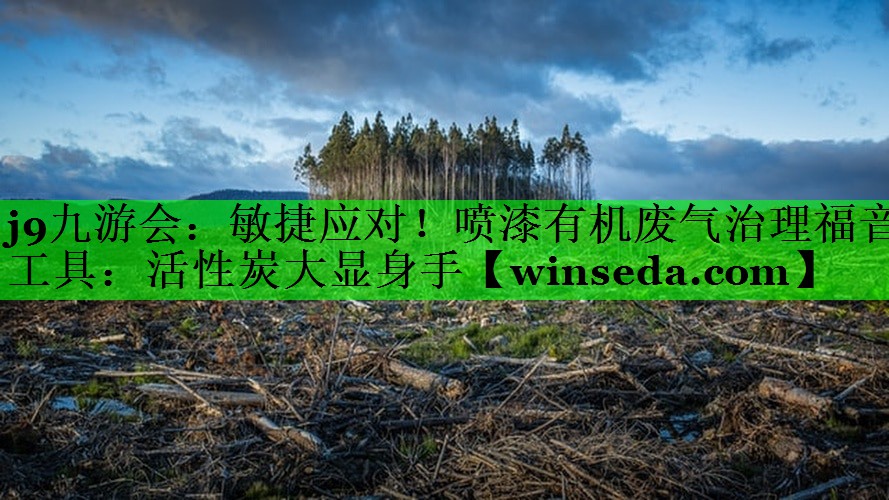 敏捷应对！喷漆有机废气治理福音工具：活性炭大显身手