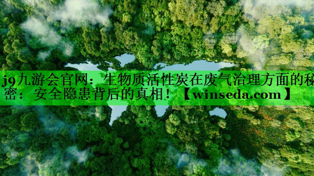 生物质活性炭在废气治理方面的秘密：安全隐患背后的真相！