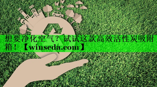 想要净化空气？试试这款高效活性炭吸附箱！