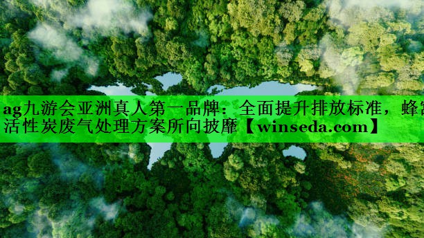 全面提升排放标准，蜂窝活性炭废气处理方案所向披靡