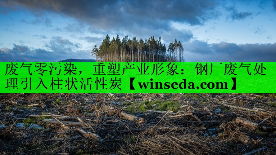 废气零污染，重塑产业形象：钢厂废气处理引入柱状活性炭