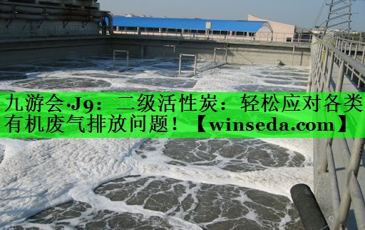 二级活性炭：轻松应对各类有机废气排放问题！